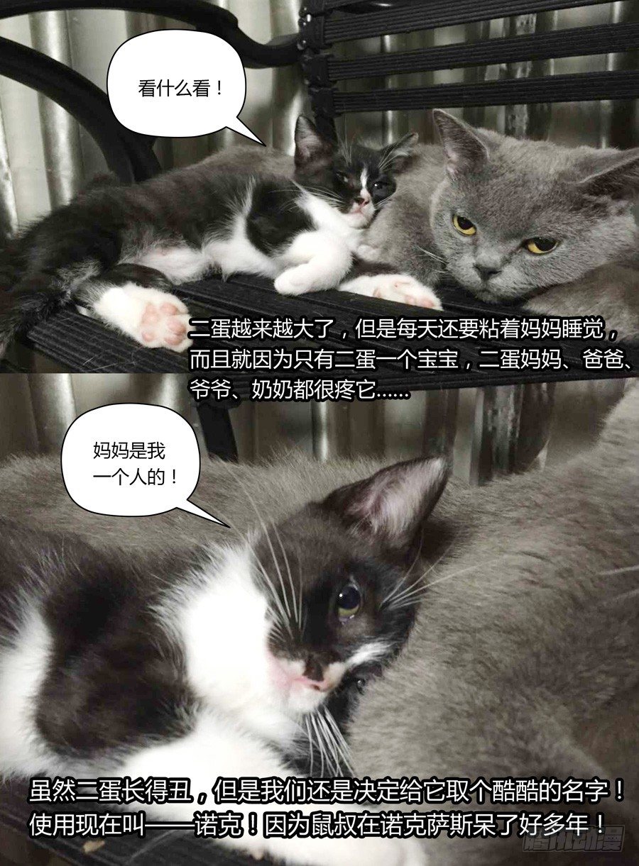 36.初遇雷狼尊-第37话