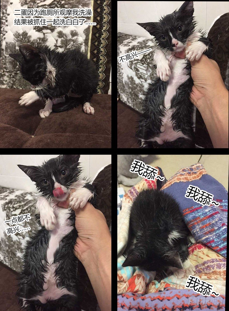 38.三眼毒虫-第39话