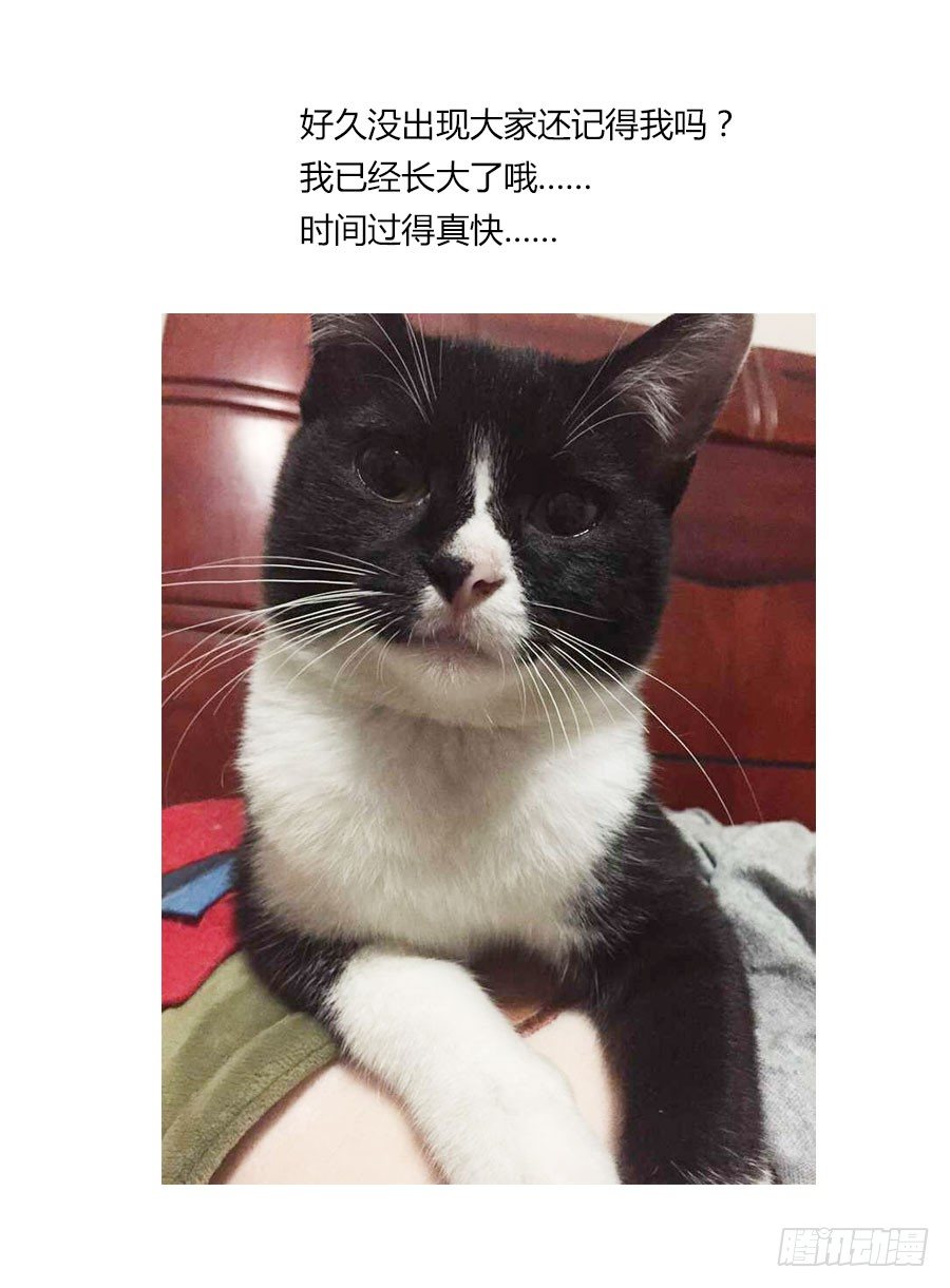 58.男主要升级打怪了-第59话