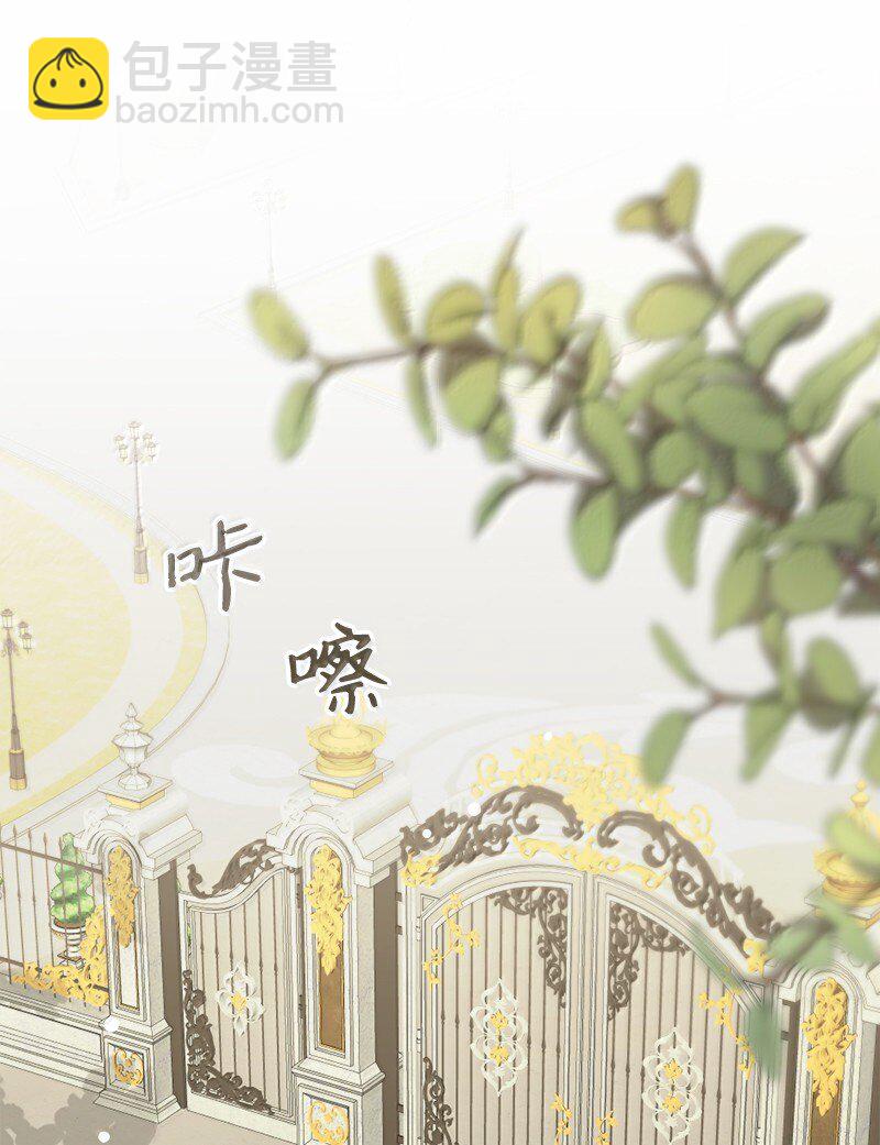 82 回到庄园(1/2)-第83话