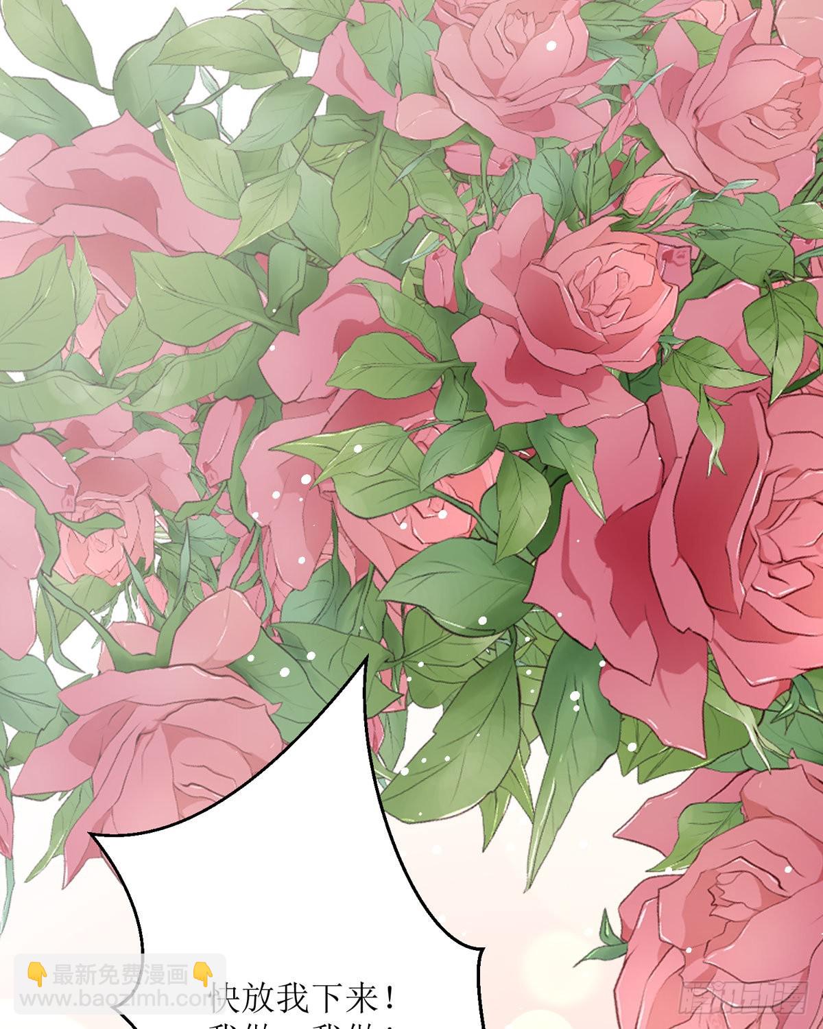 第22话 番茄炒蛋(1/2)-第23话