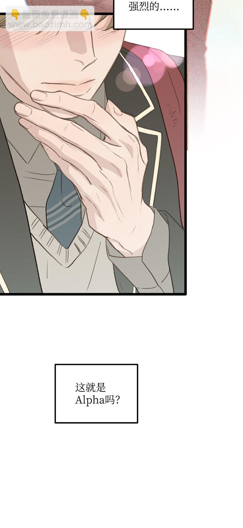 45 番外01-只有形式的婚姻(1/2)-第45话