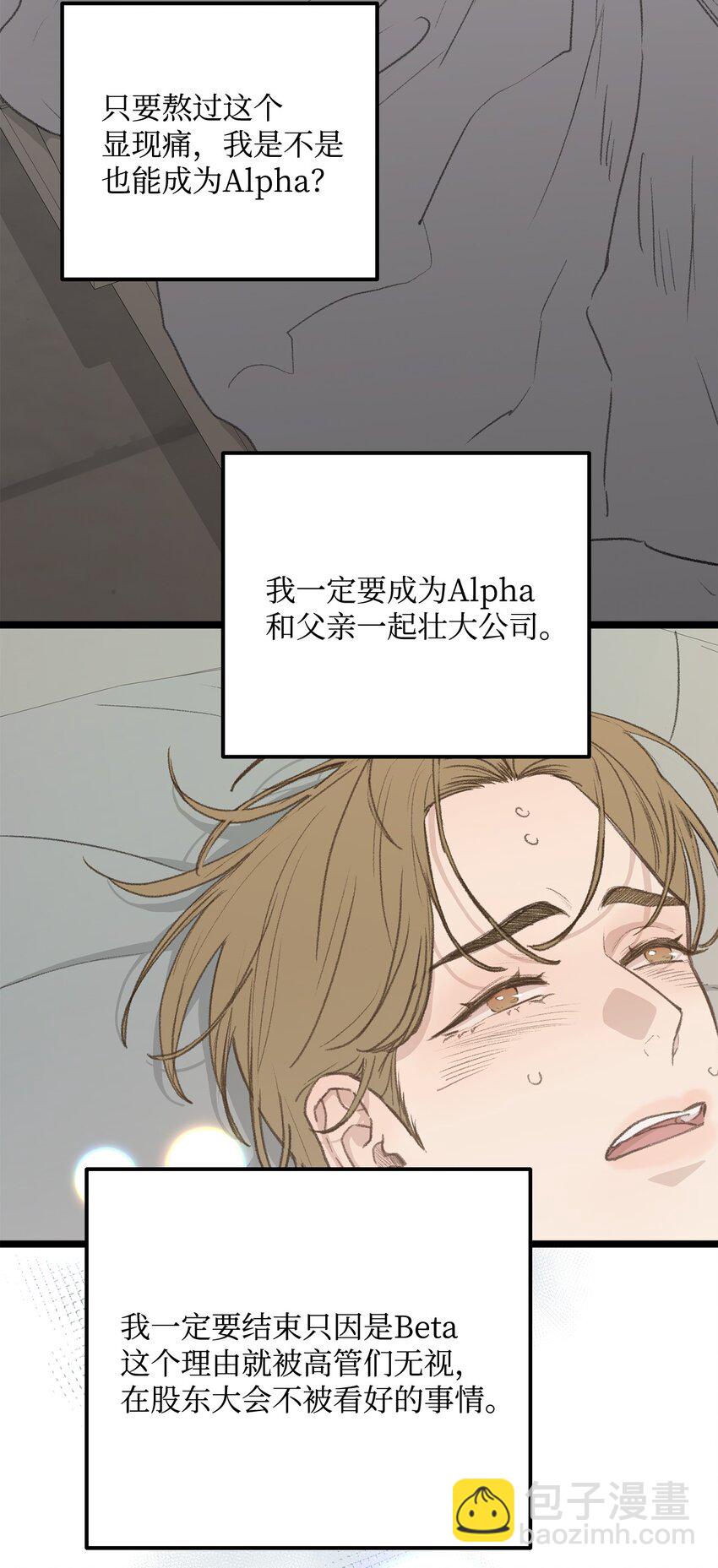 45 番外01-只有形式的婚姻(1/2)-第45话