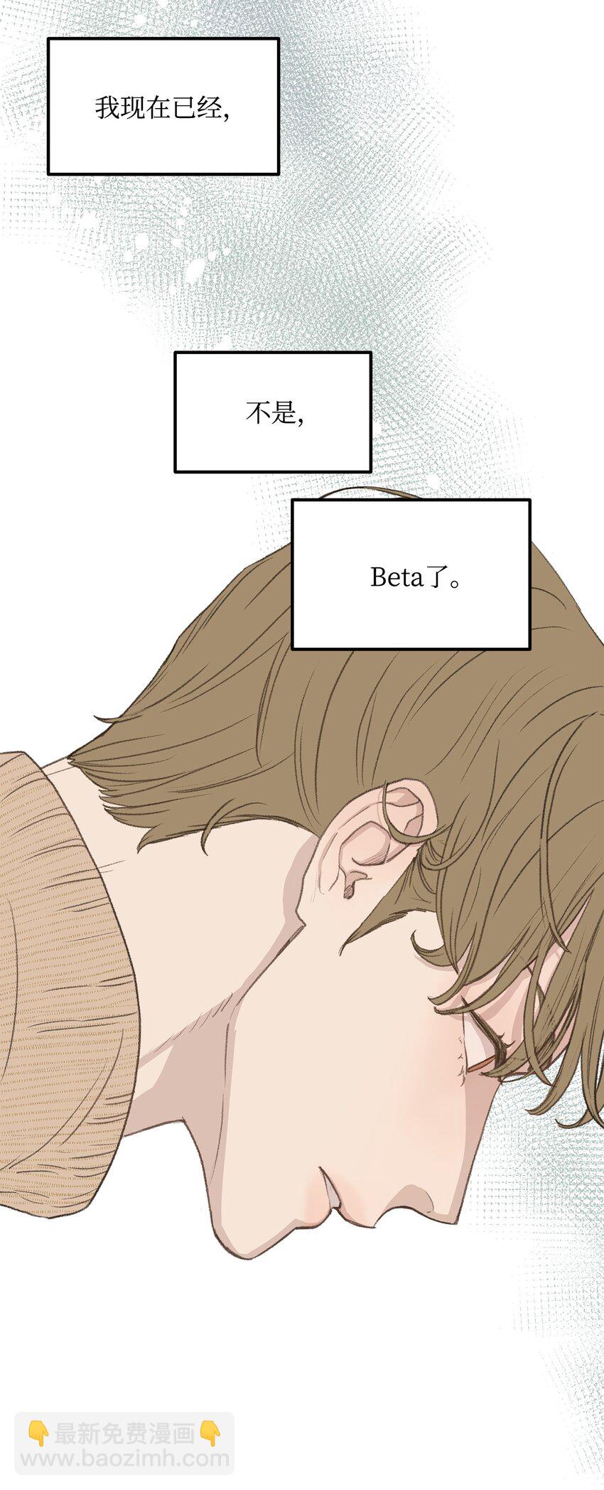 45 番外01-只有形式的婚姻(1/2)-第45话