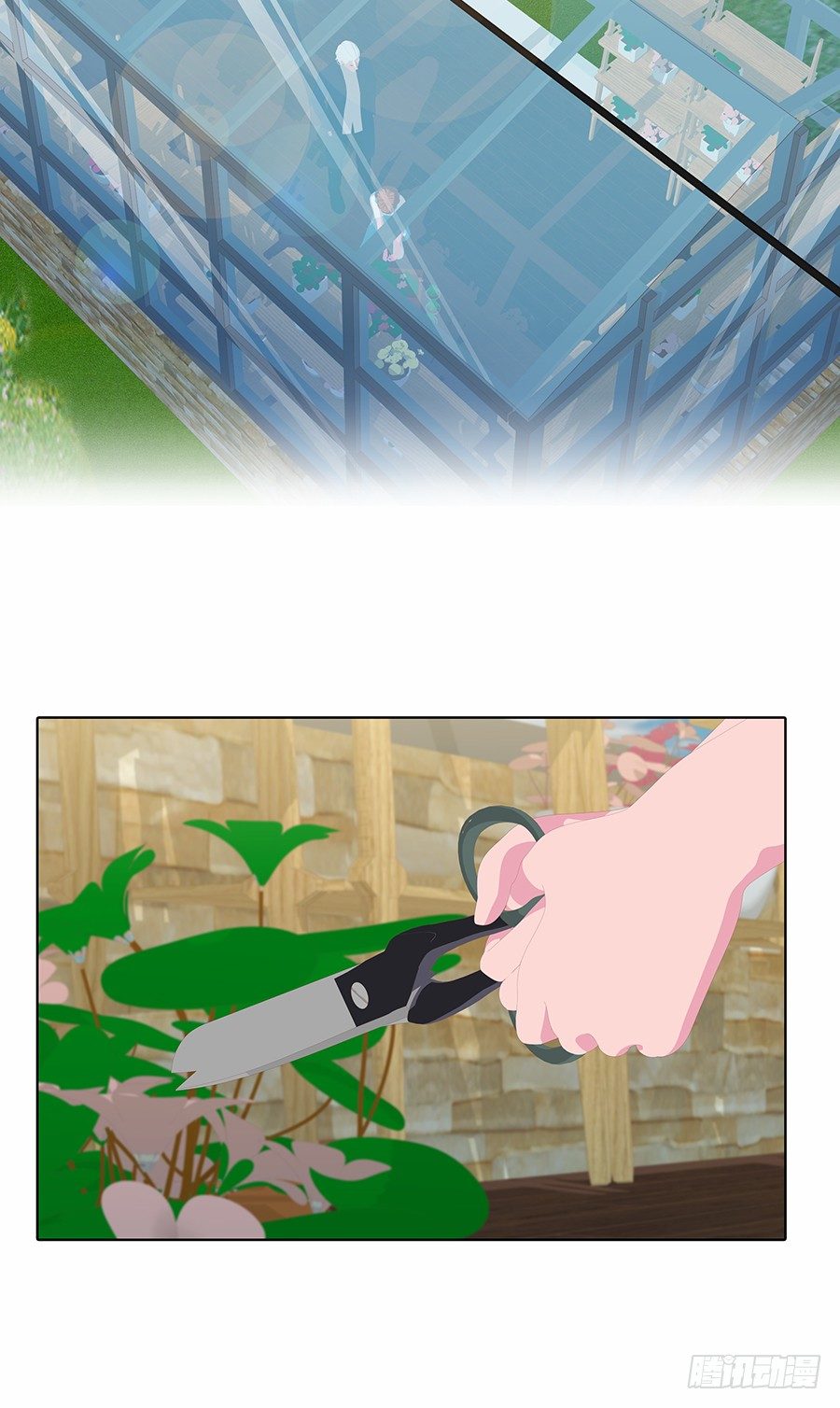 CP感爆棚！(1/2)-第41话