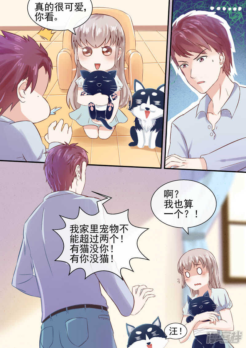 第47话 宠物不能超过俩-第49话