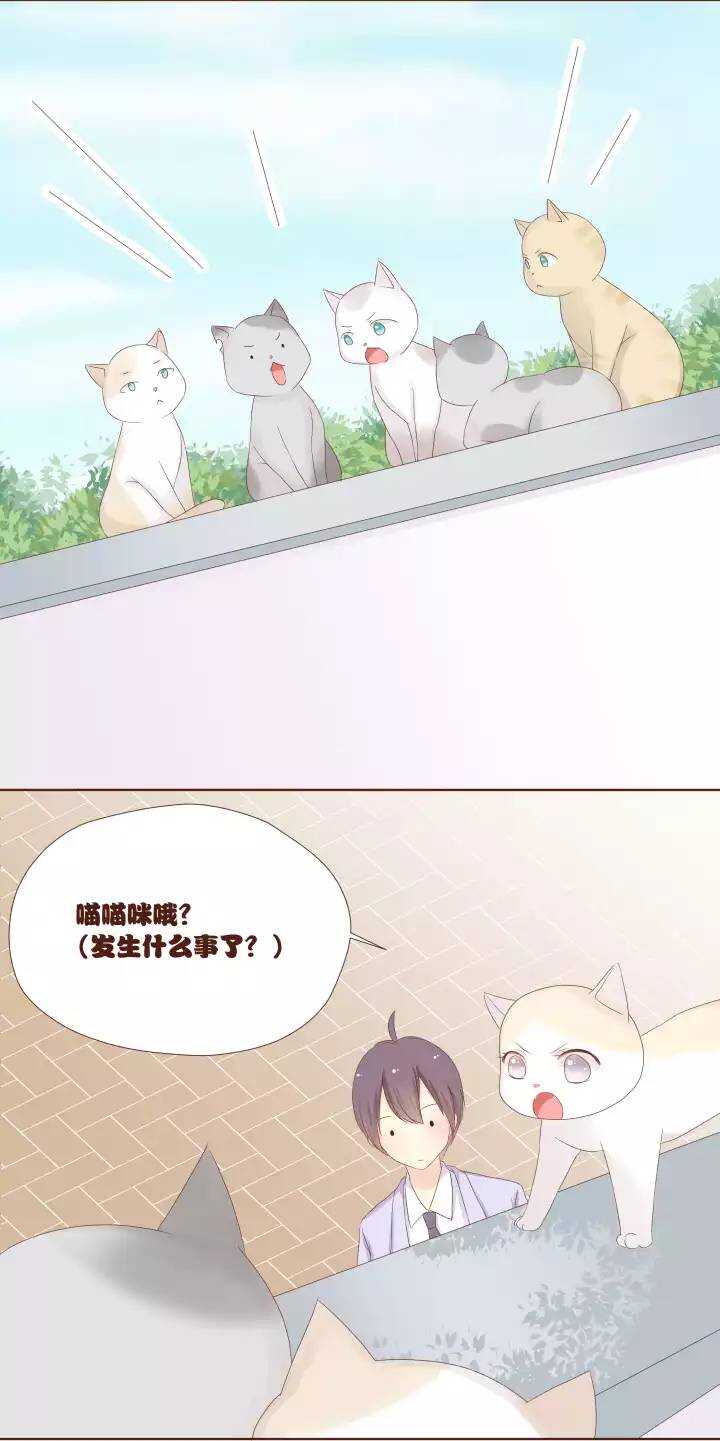 18 快把我的身体还给我！！！-第19话