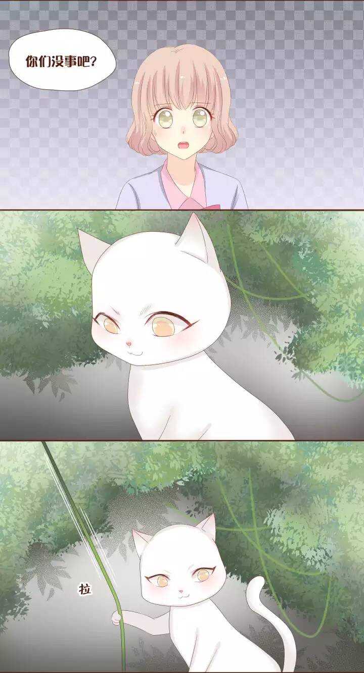 22 贝吉玛你整得我们好惨！＞_＜-第23话