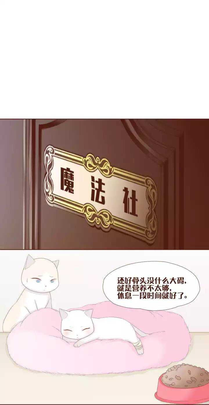 26 贝吉玛终于自由了！可喜可贺！-第27话