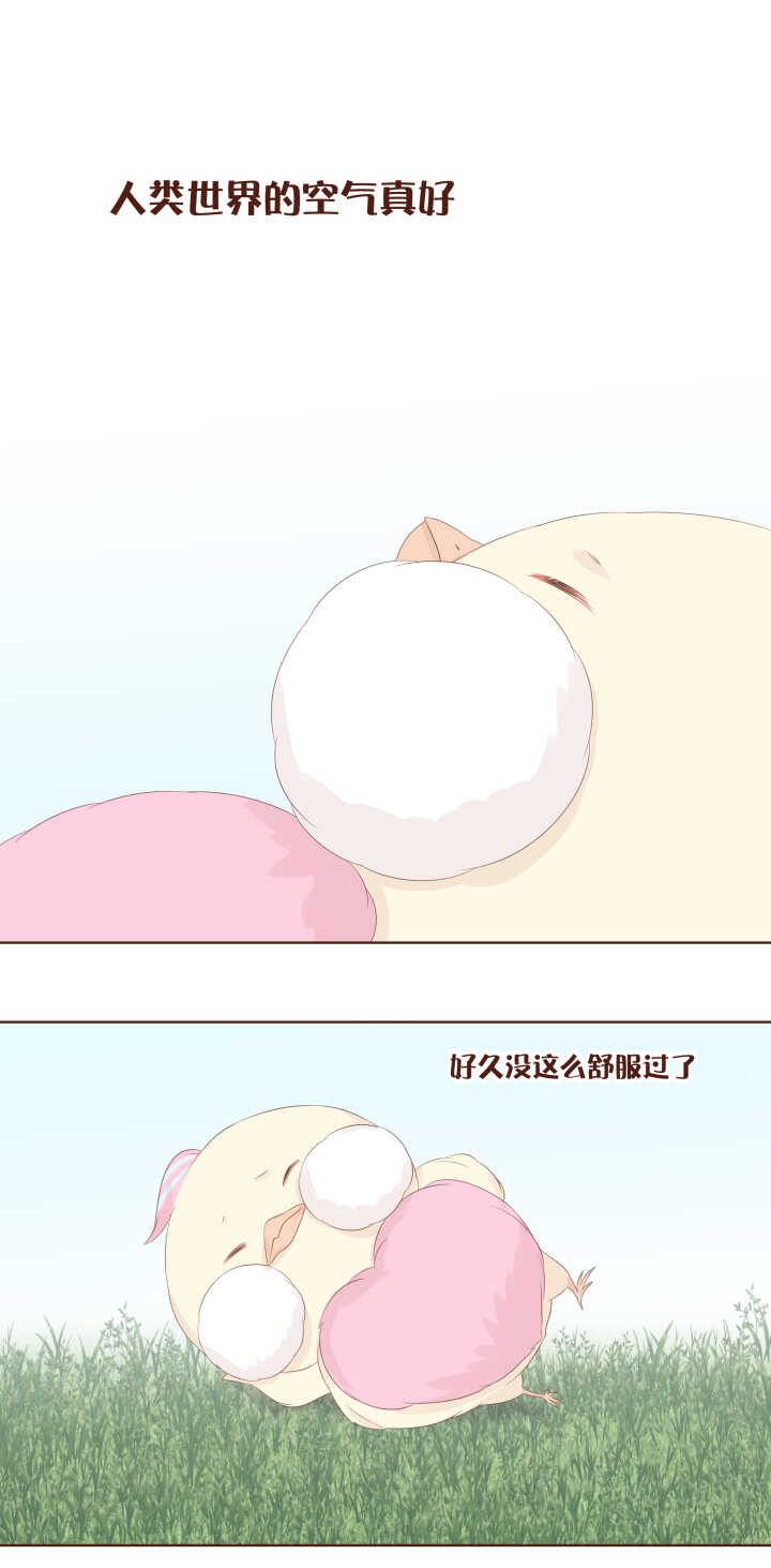 74 卷卷和弥洛的第一次约会~-第75话