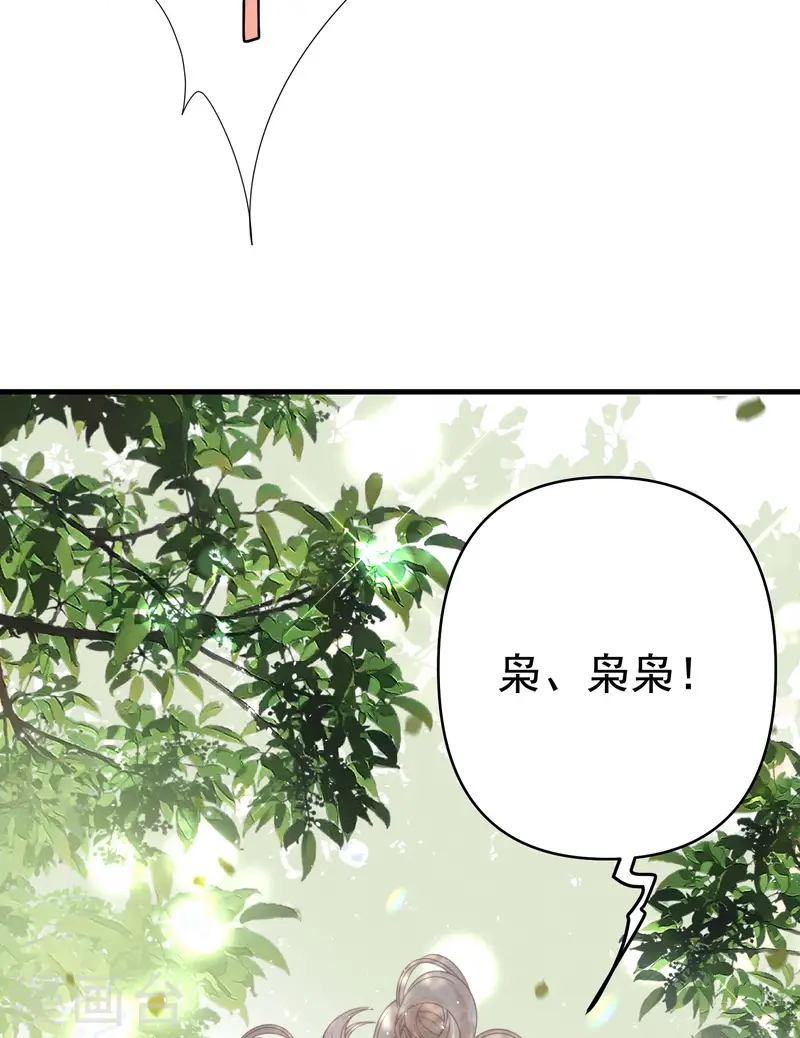 第15话 白枭奶狗上分！(1/2)-第17话