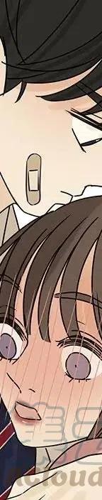 戀愛新手 - 54(9/9) - 5