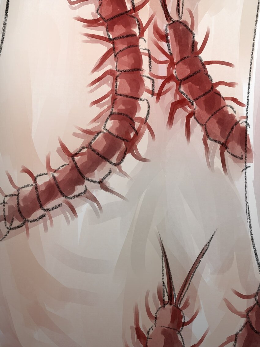 03 第三话 伤疤（下篇）-第3话