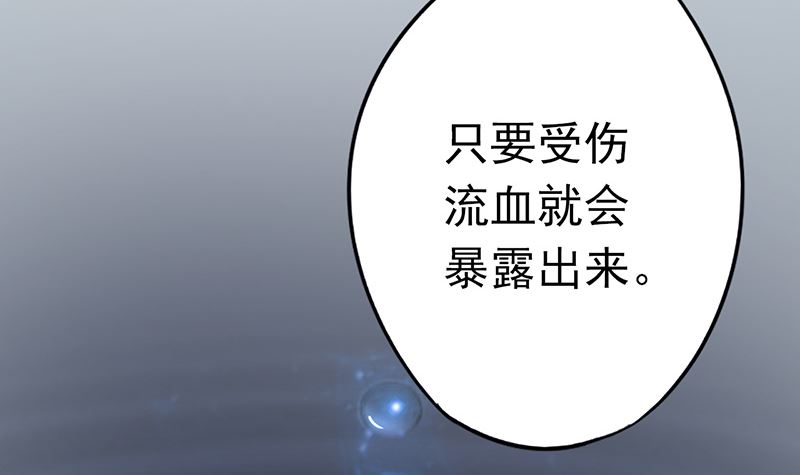 第二十三话 寒鹄刀显形(1/2)-第23话