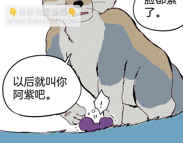 第14话 小马哥登场(1/3)-第15话