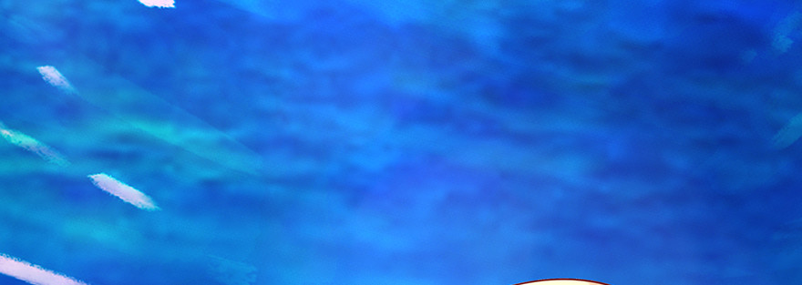 搞事啊(1/2)-第101话