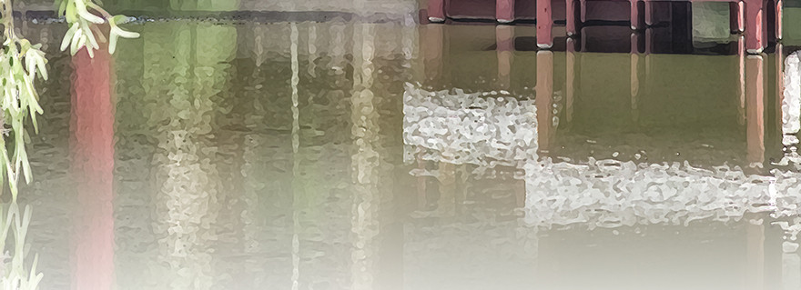 不会再碍你们事(1/2)-第111话