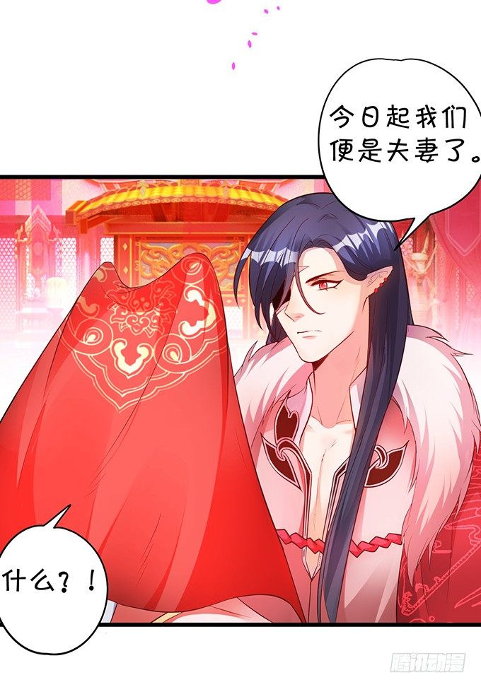 洞房花烛夜~(1/2)-第19话