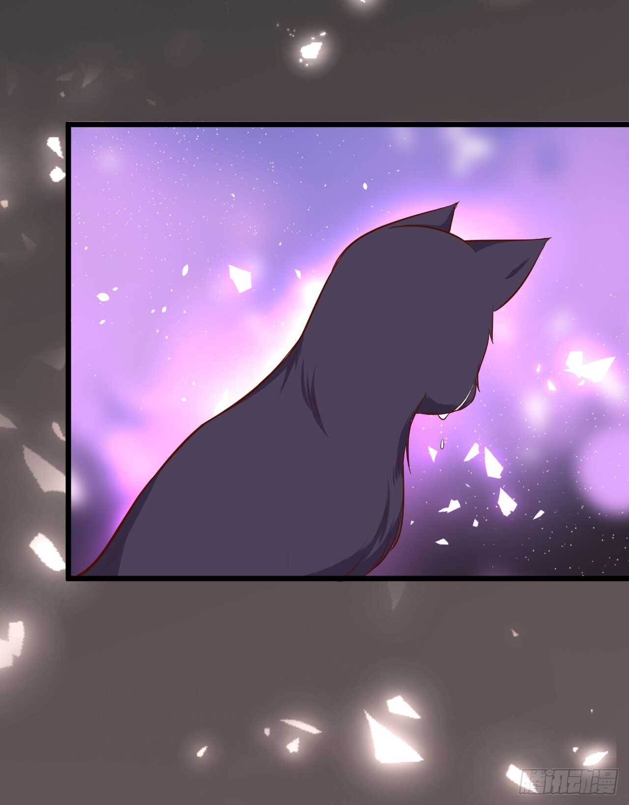 小猫咪！需要我帮忙吗！-第79话