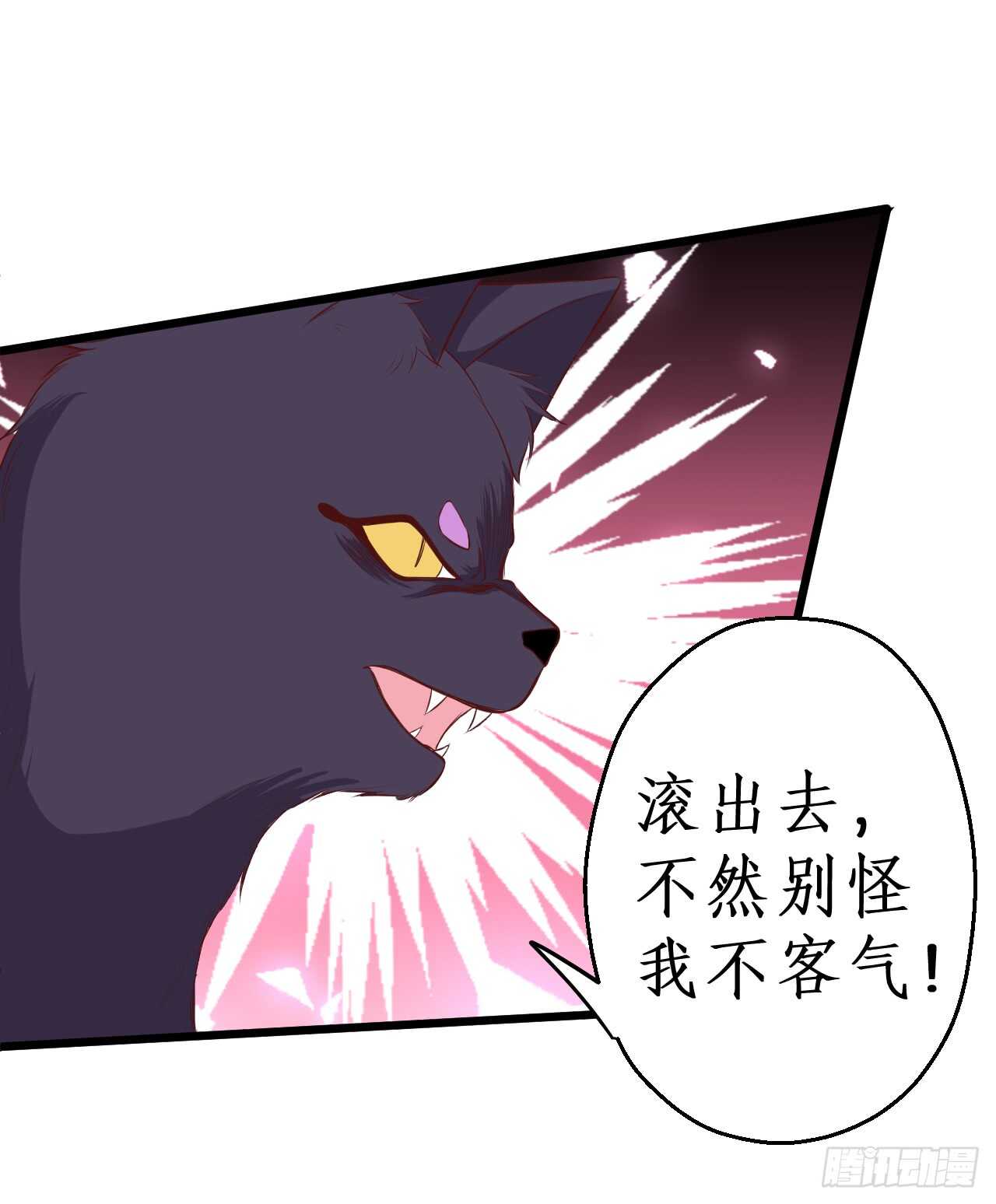 吸取精气！小猫咪变身！(1/2)-第81话