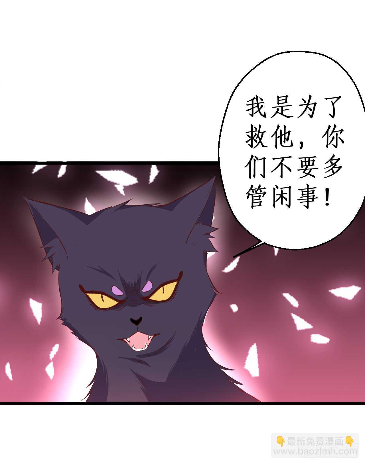 吸取精气！小猫咪变身！(1/2)-第81话