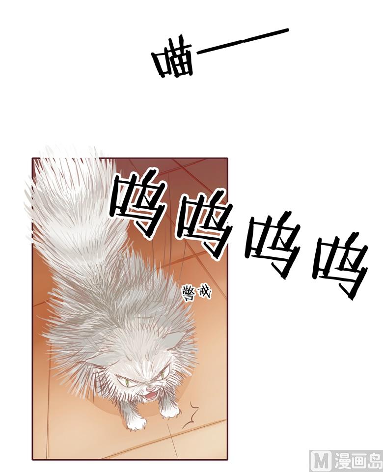 003：二当家的(1/2)-第3话