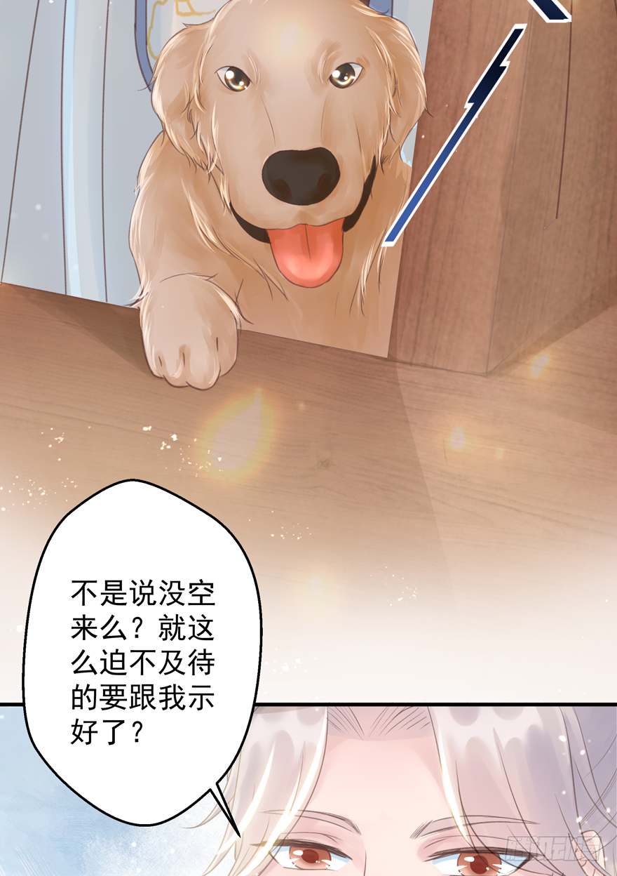 酒宴带狗赴，上桌斗地主(1/2)-第7话