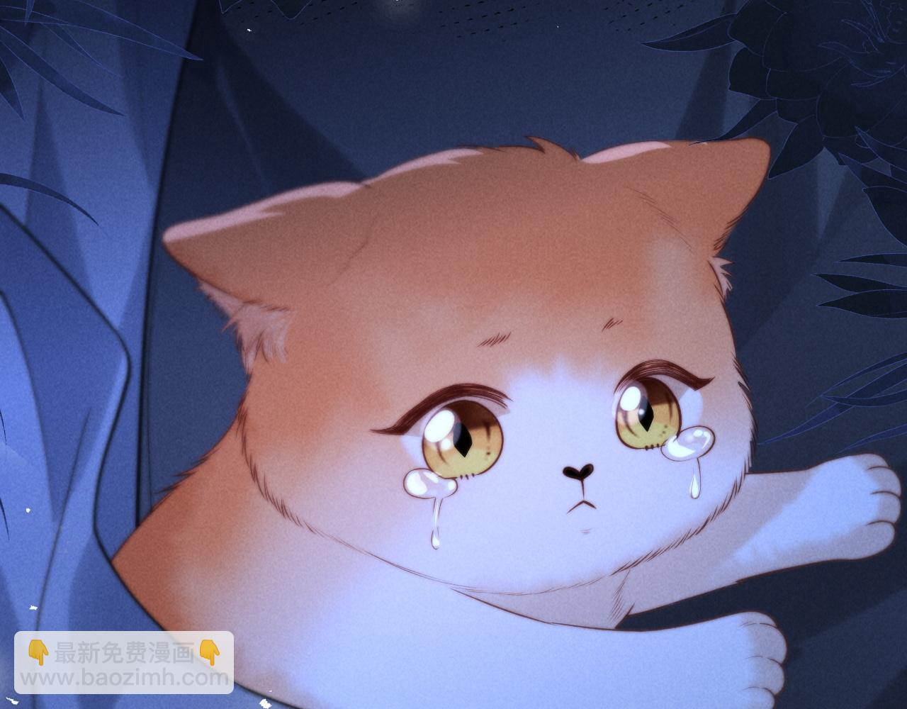 第24话(1/2)-第29话