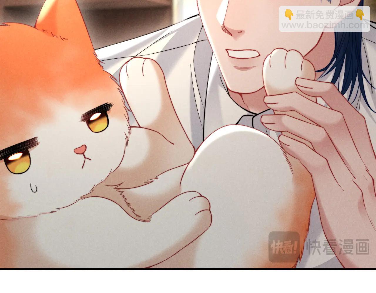 第40话 为这份礼物永久续期(1/2)-第49话