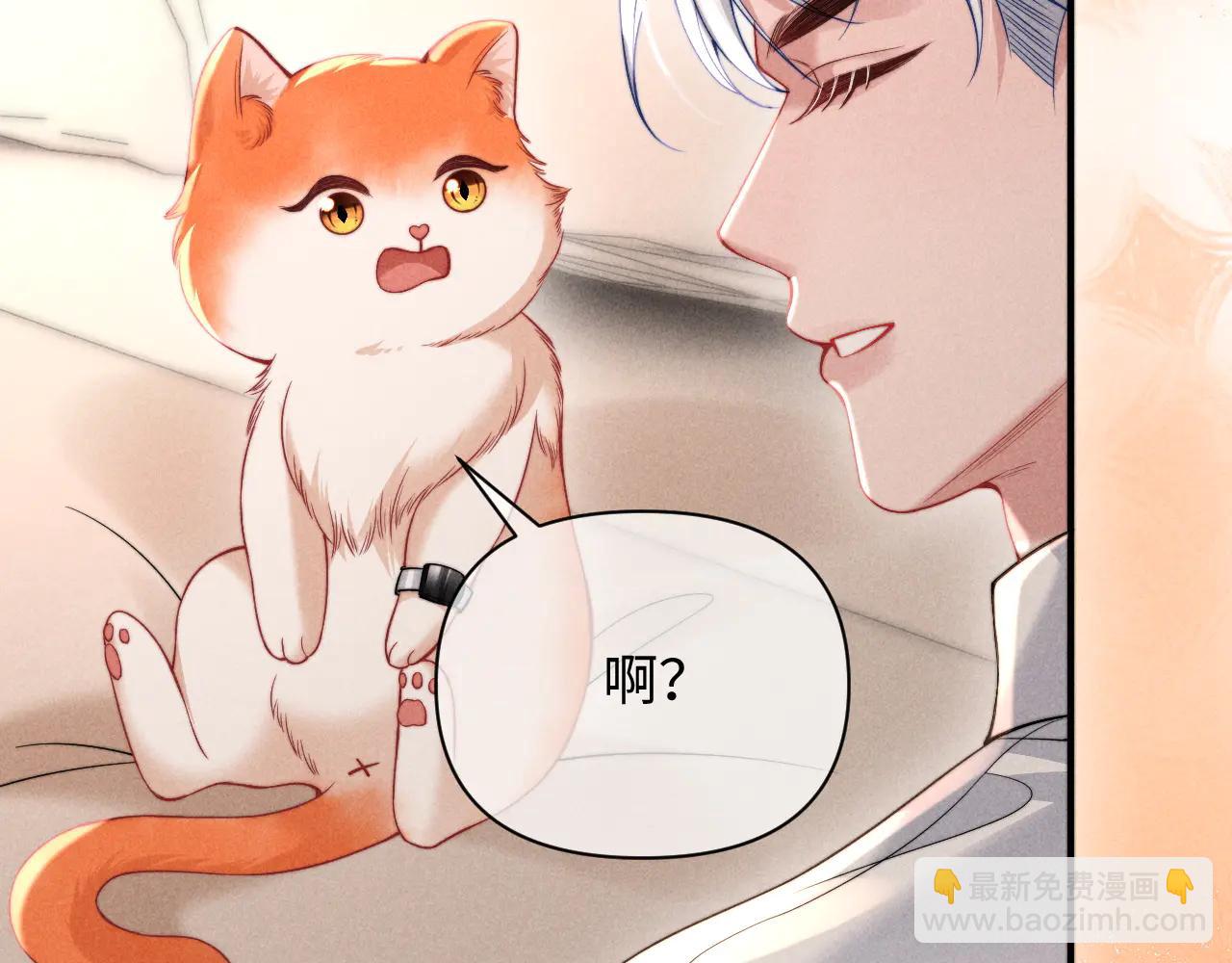 第40话 为这份礼物永久续期(1/2)-第49话