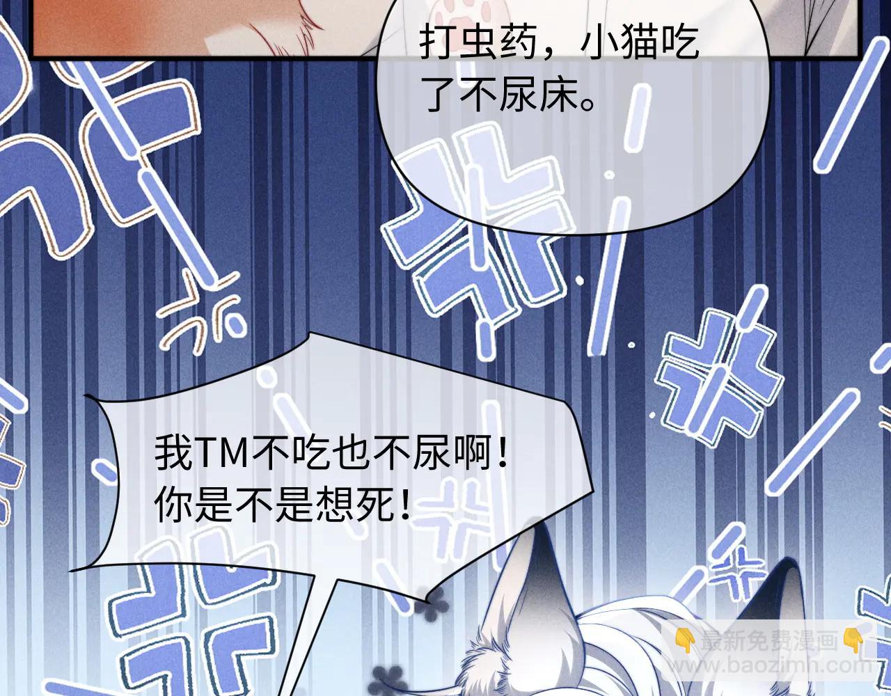 第40话 为这份礼物永久续期(1/2)-第49话