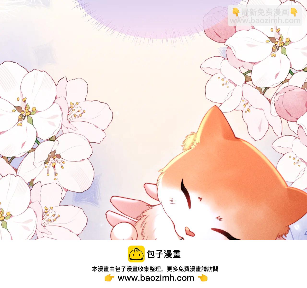 第40话 为这份礼物永久续期(1/2)-第49话