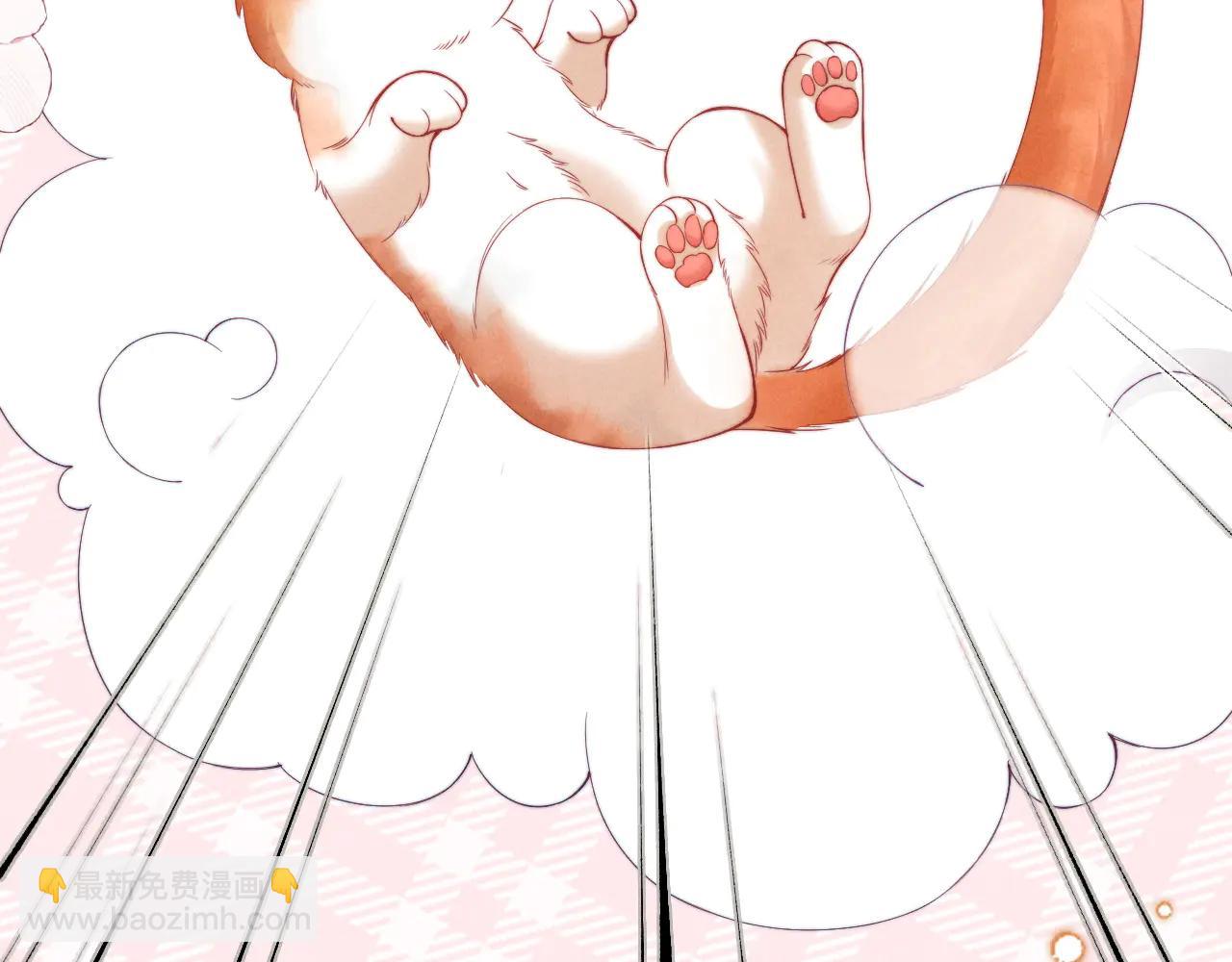 第40话 为这份礼物永久续期(1/2)-第49话