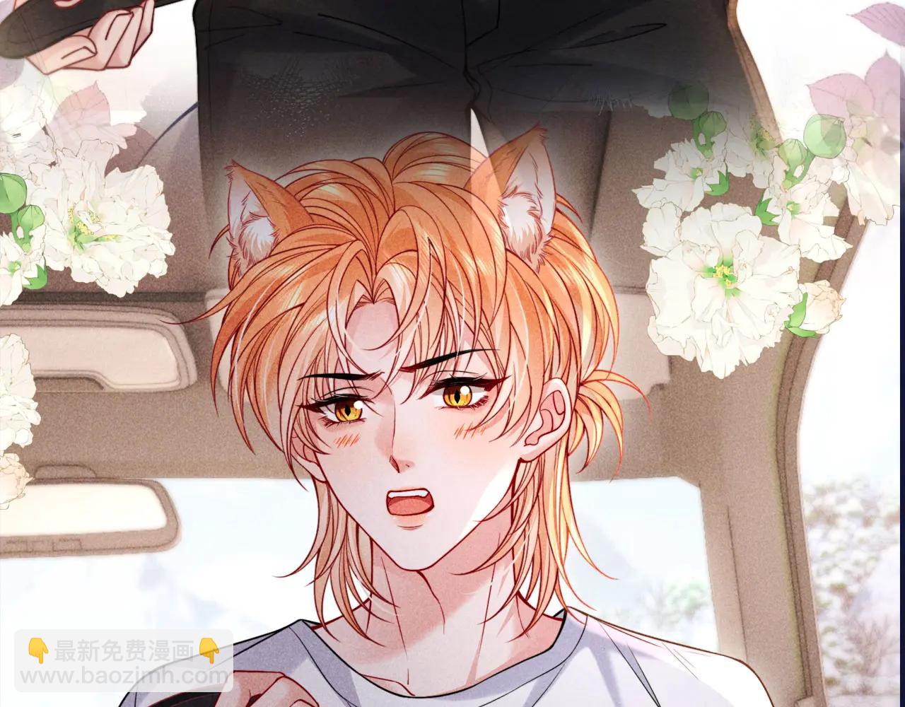 特典公开：6月4日 分别前车内告别，小猫喜欢被&ldquo;惩罚&rdquo;？-第71话