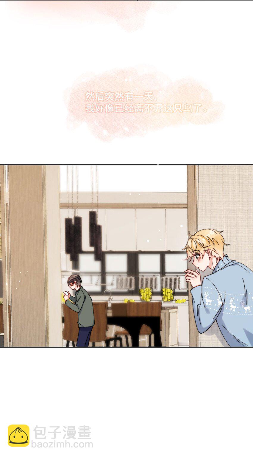 第36话 风云之星-第37话