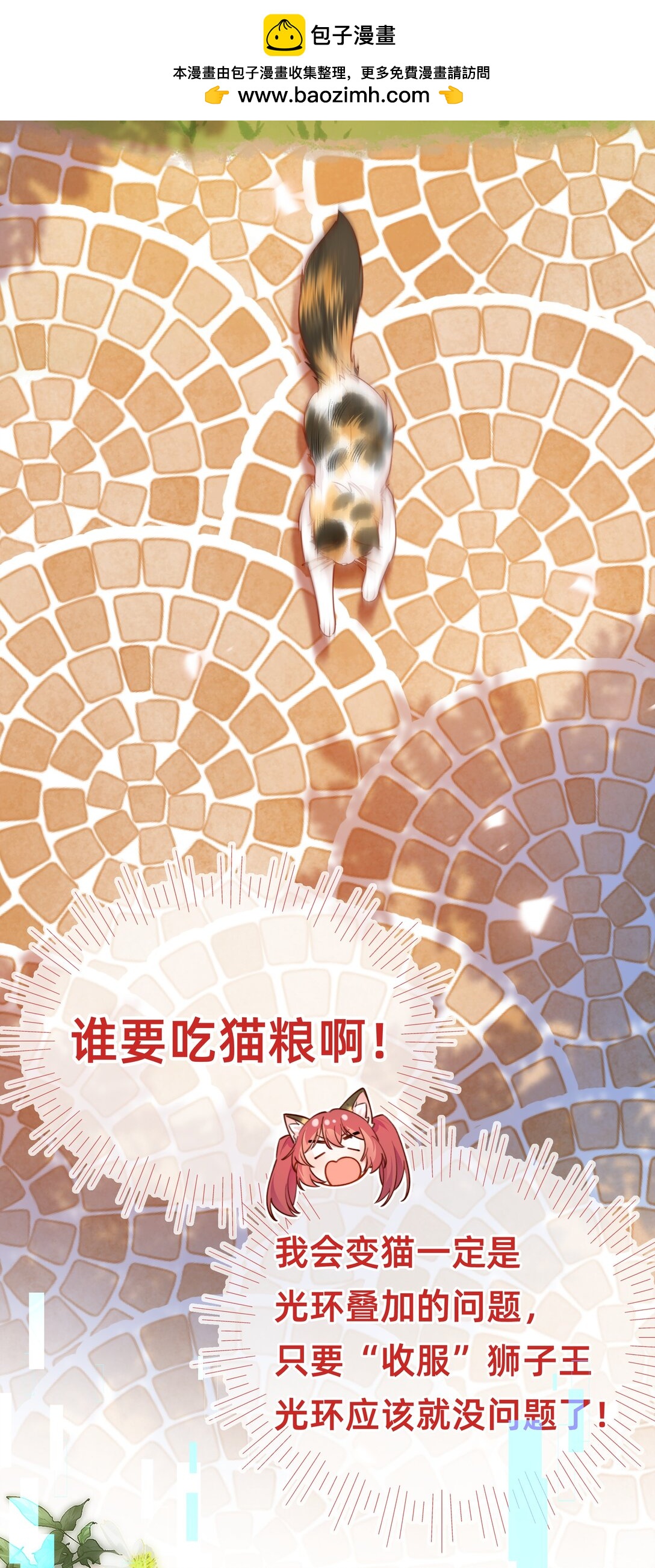 011 狮子王：她说她喜欢我！！-第13话