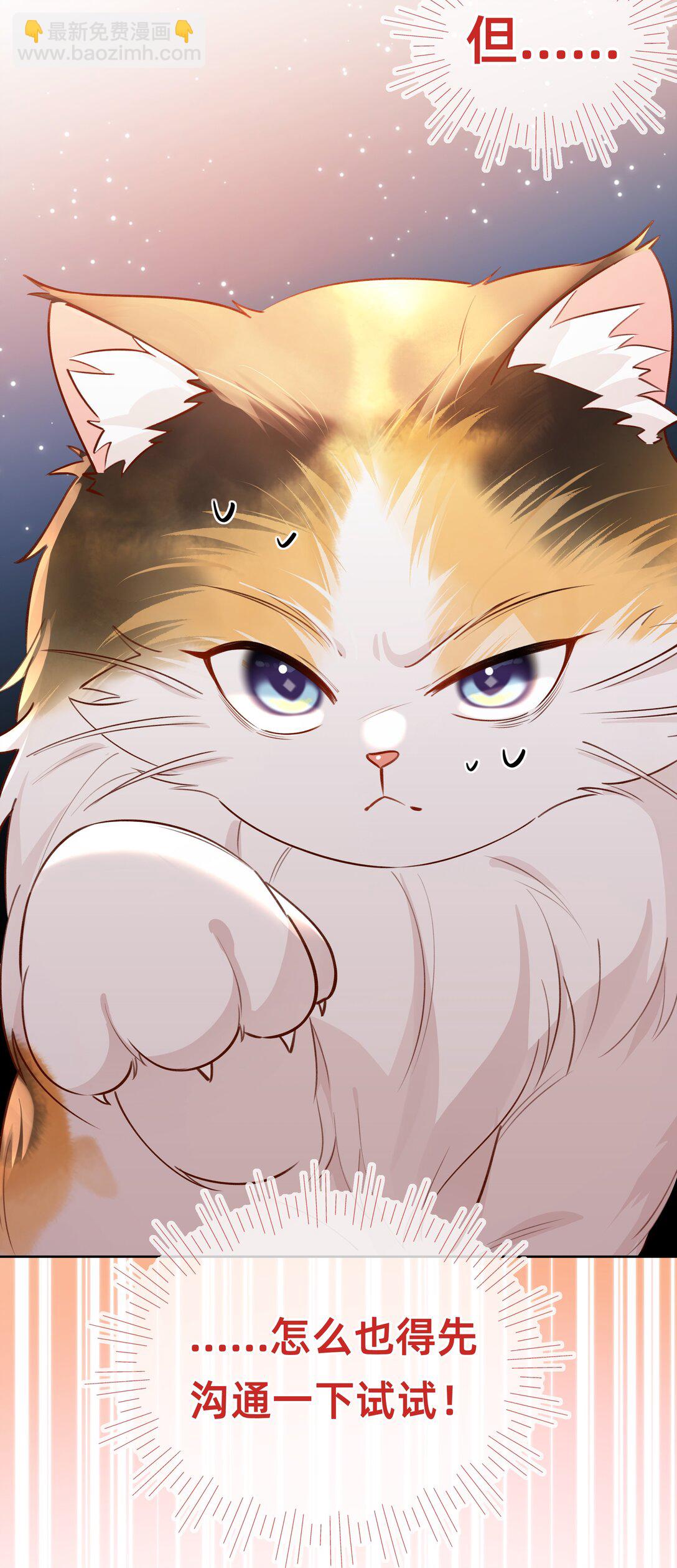 011 狮子王：她说她喜欢我！！-第13话