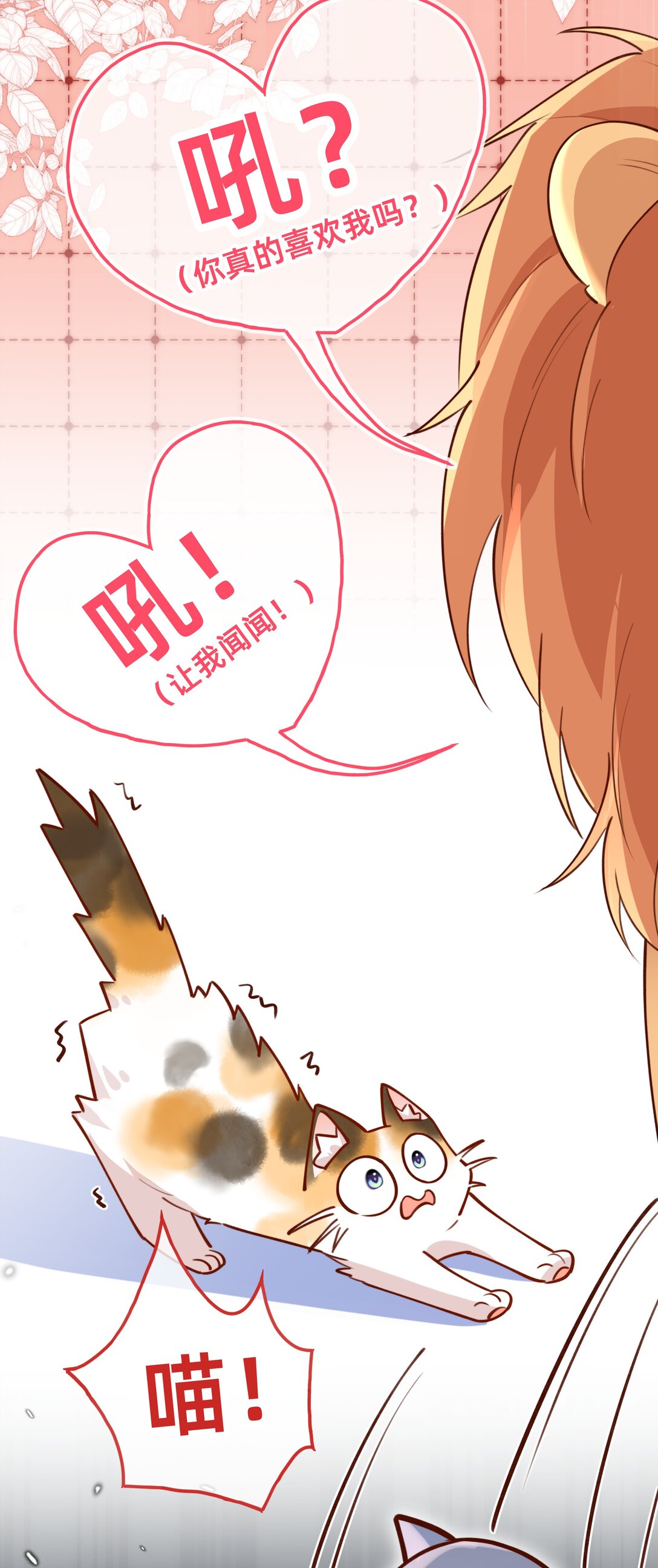 011 狮子王：她说她喜欢我！！-第13话