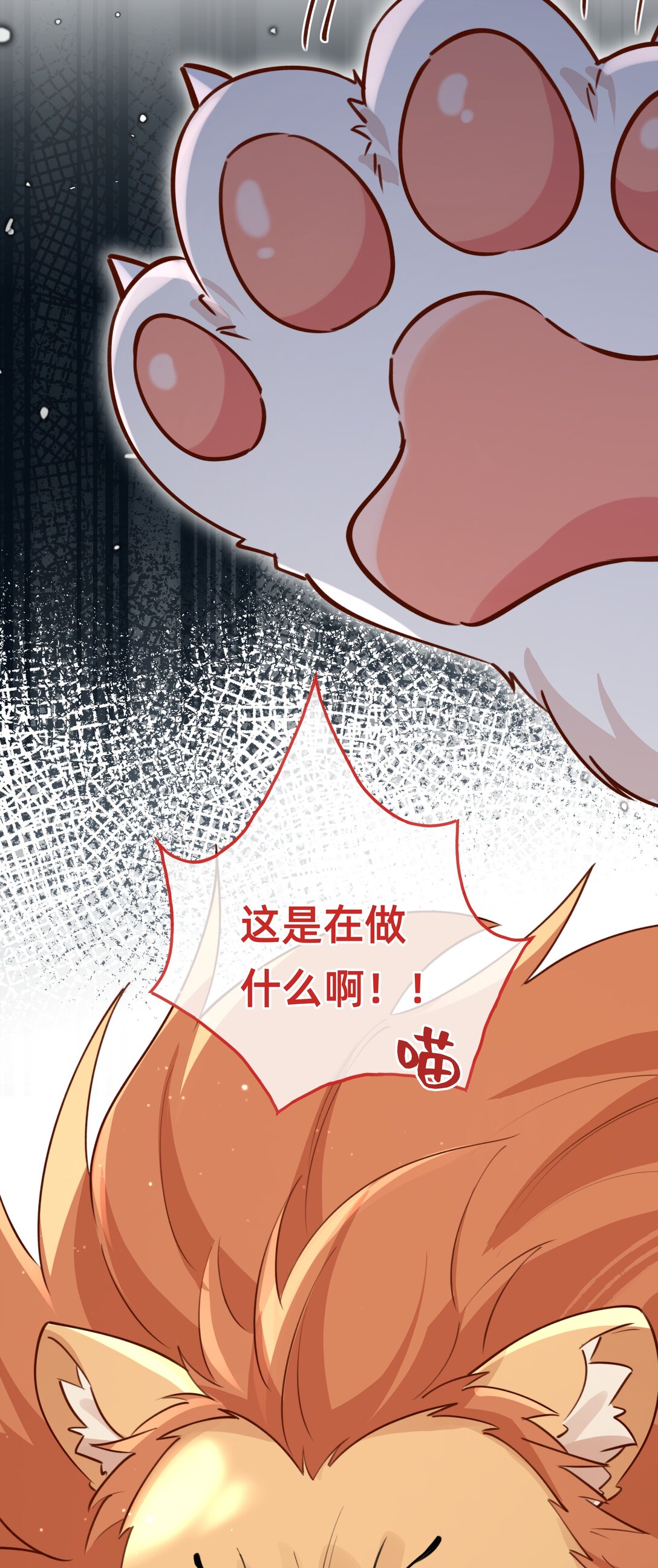 011 狮子王：她说她喜欢我！！-第13话