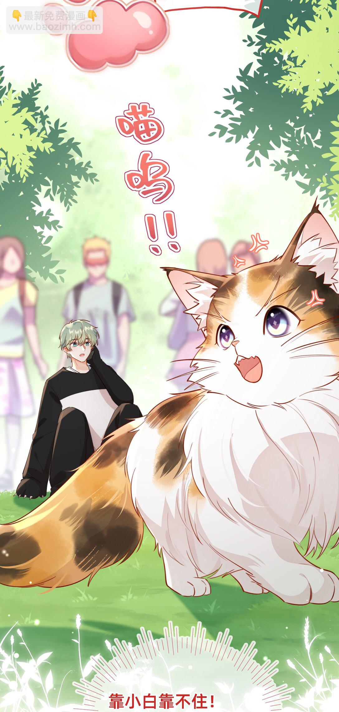 011 狮子王：她说她喜欢我！！-第13话