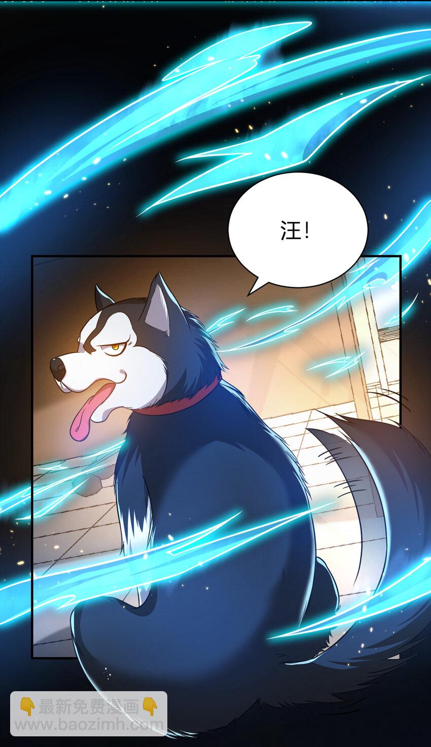 11 完美品质的二哈(1/2)-第11话