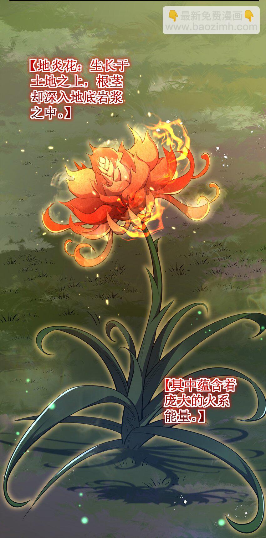 13 妖灵之森(1/2)-第13话