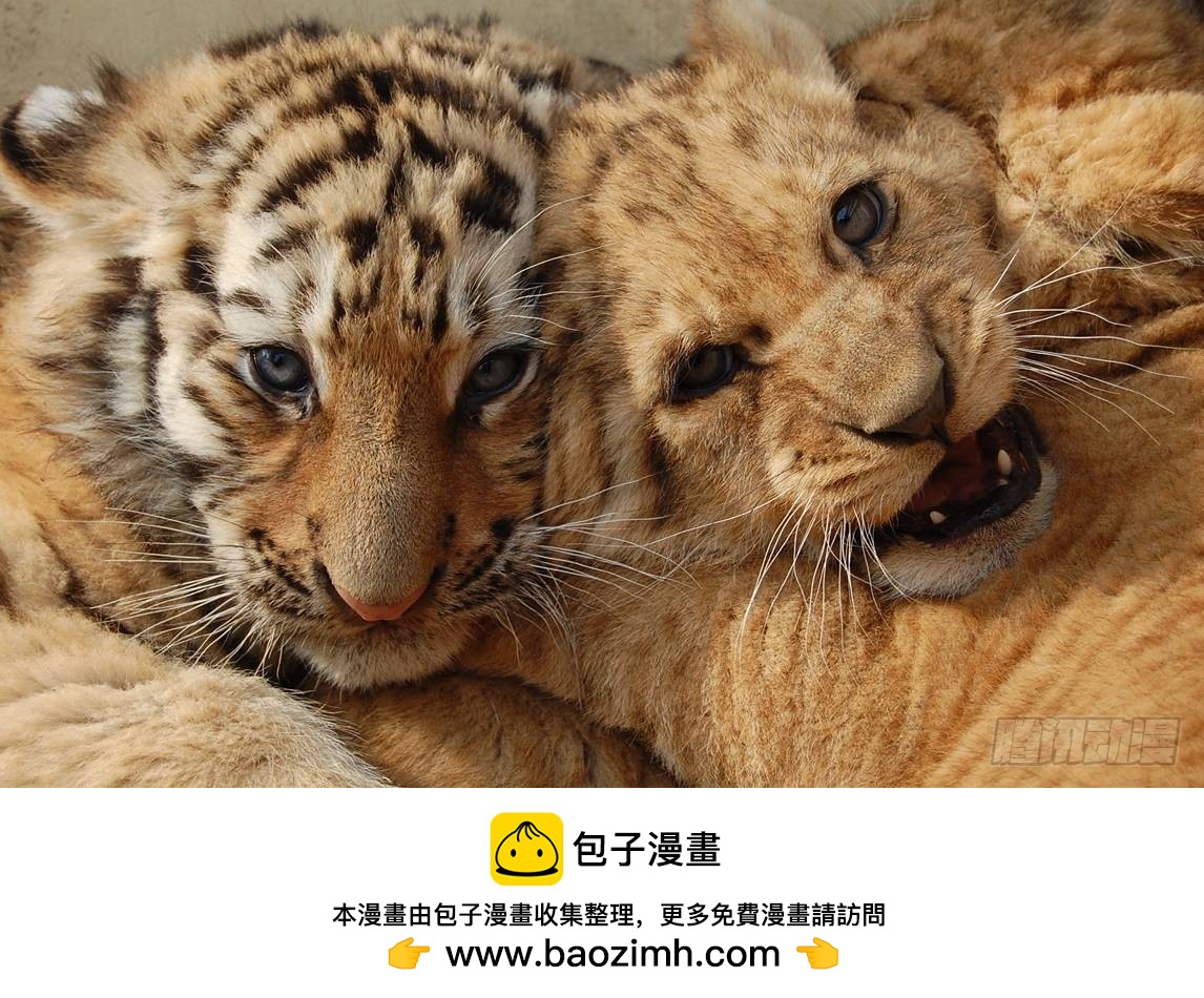 第11话 人类文明的危机（下）-第11话