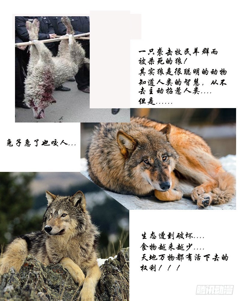 第30话 觉醒！冰异能-第31话