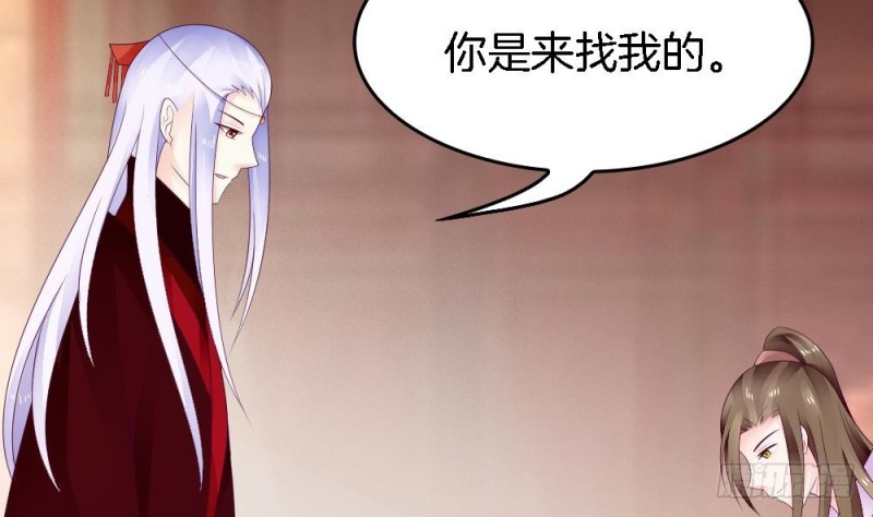 第32话 哥哥，别闹了-第31话