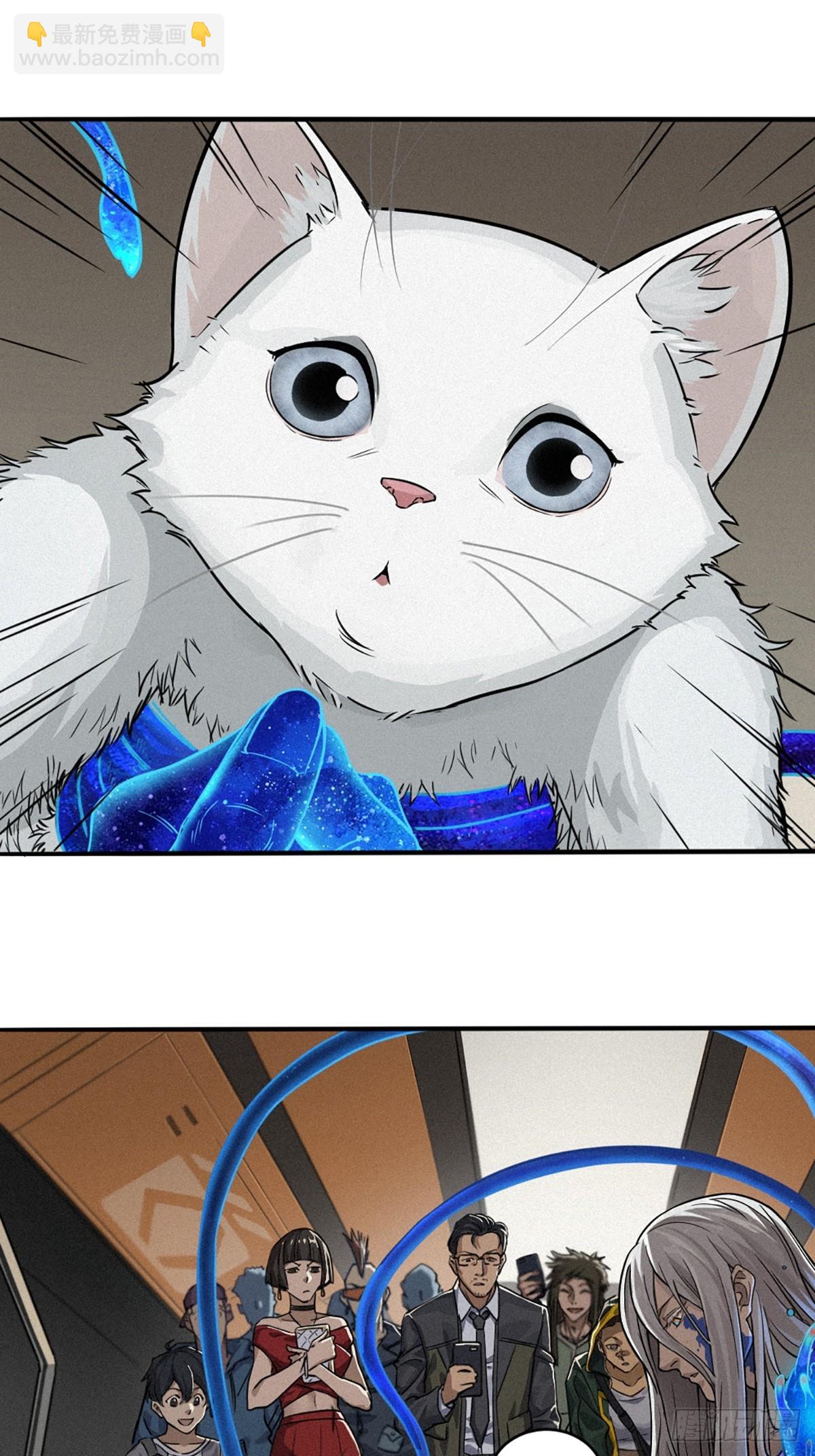 靈籠·月魁傳 - 029 護貓使者（下）(2/2) - 6