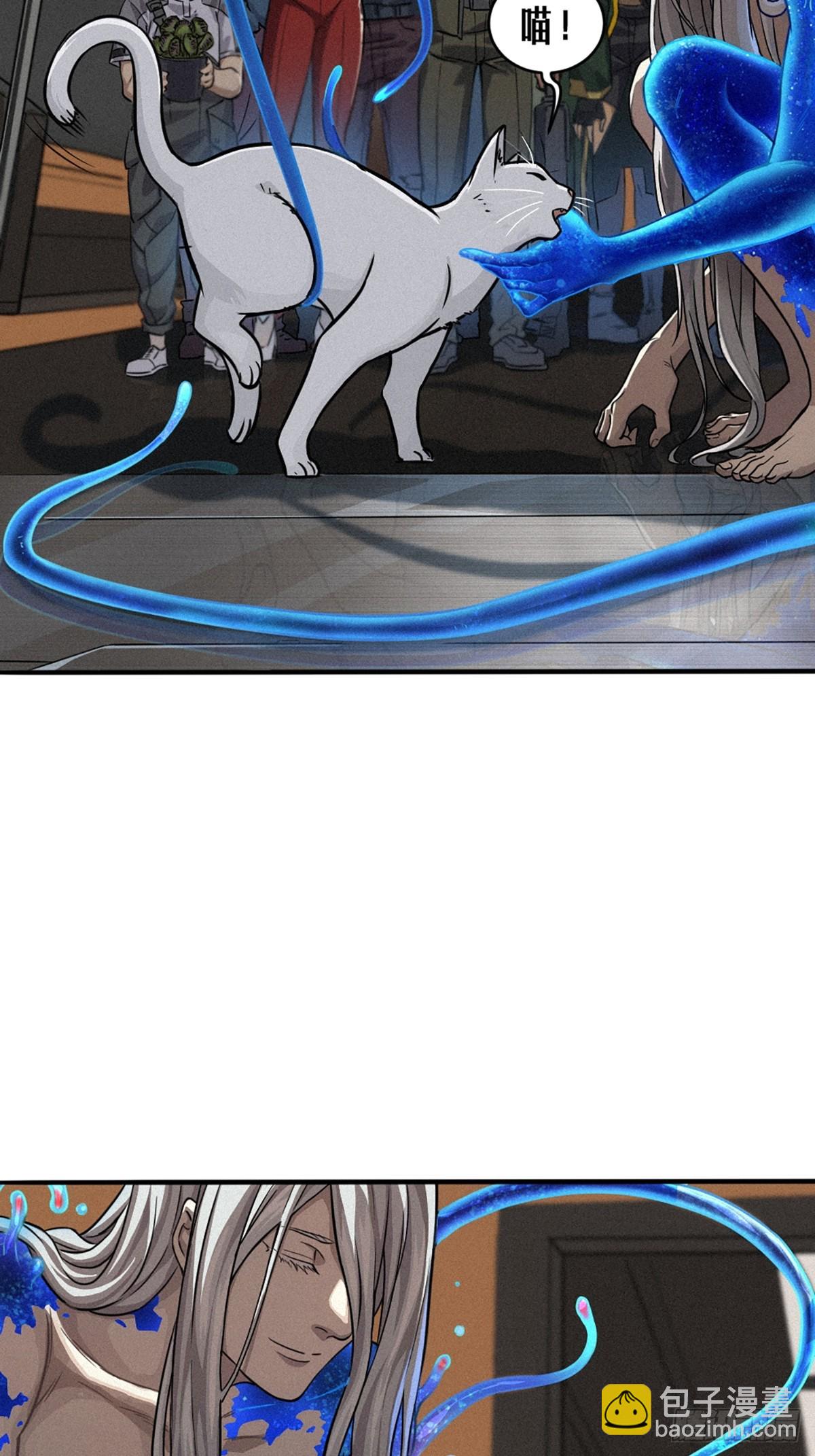 靈籠·月魁傳 - 029 護貓使者（下）(2/2) - 7