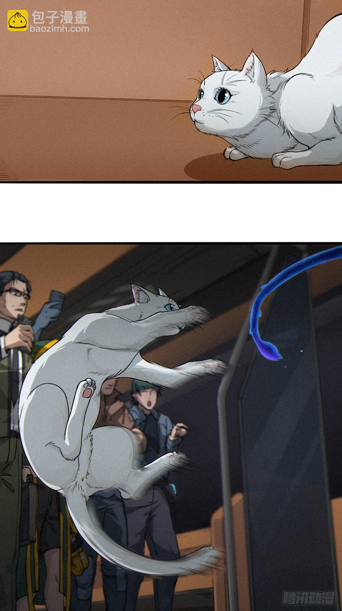 靈籠·月魁傳 - 029 護貓使者（下）(2/2) - 7