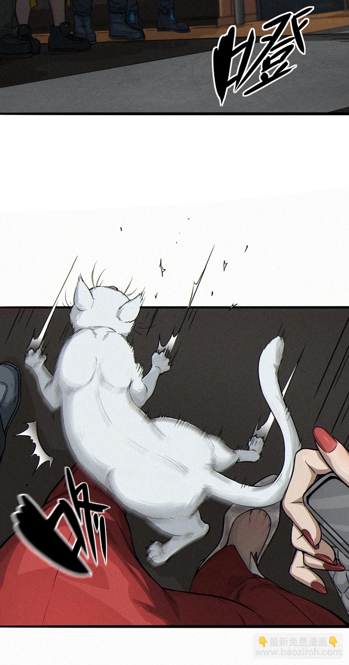 靈籠·月魁傳 - 029 護貓使者（下）(2/2) - 8