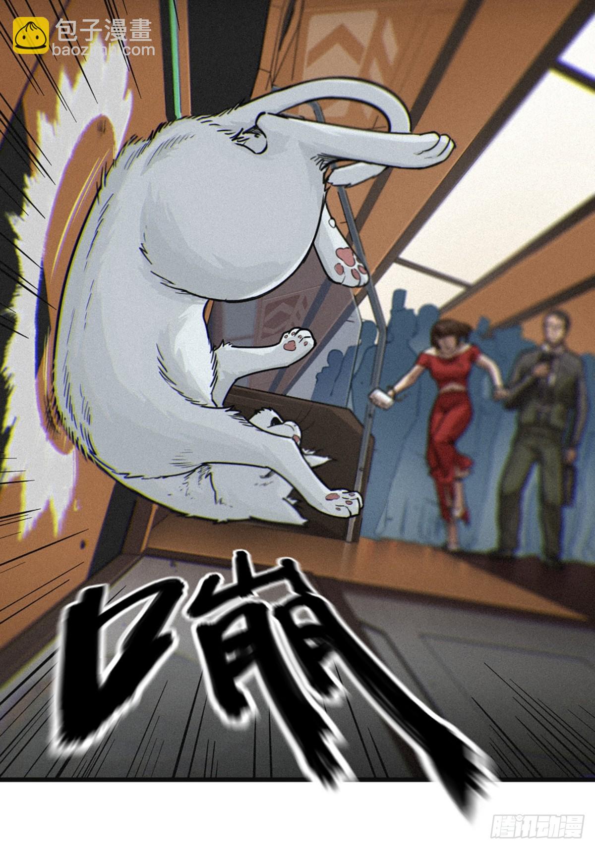 靈籠·月魁傳 - 029 護貓使者（下）(2/2) - 3